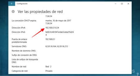 ver mi ip actual.